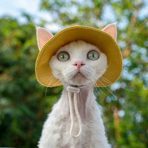 Open Ears Cat Hat