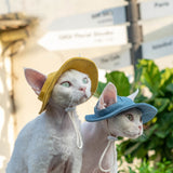 Open Ears Cat Hat