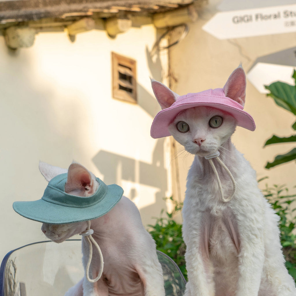Open Ears Cat Hat