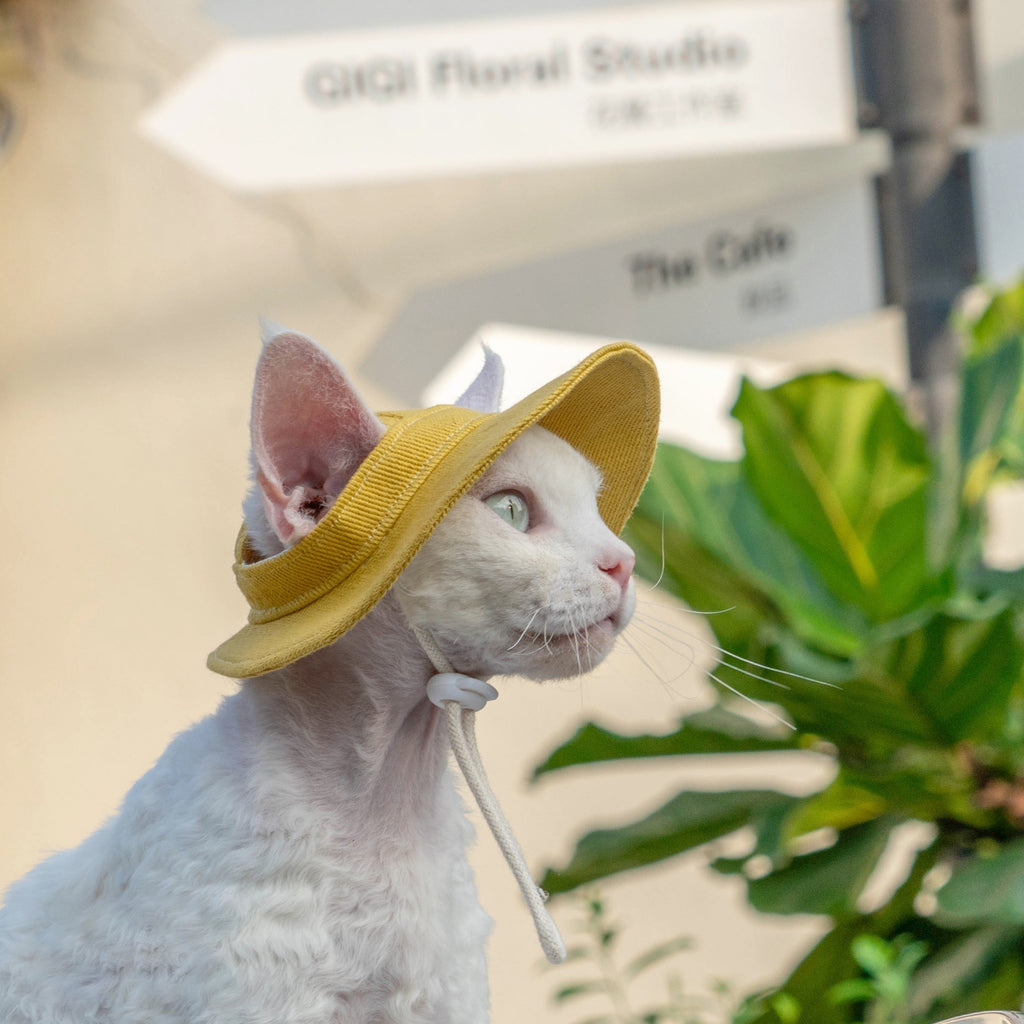 Open Ears Cat Hat