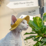 Open Ears Cat Hat