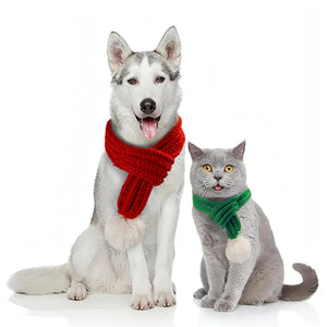 Cat Dog Scarf - Fatcatjoy