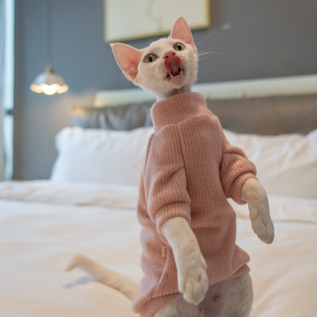 Simple Cat Sweater