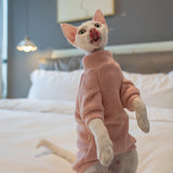 Simple Cat Sweater