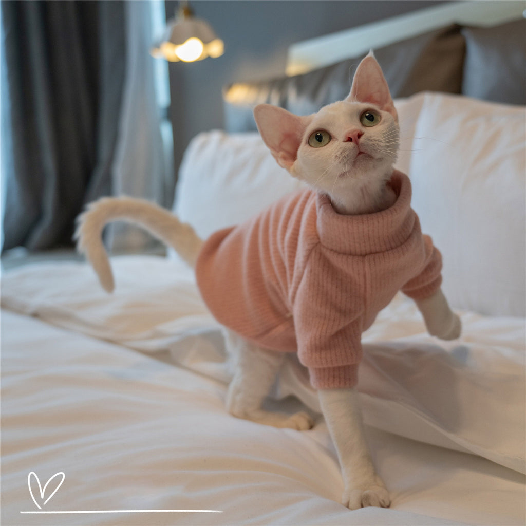 Simple Cat Sweater