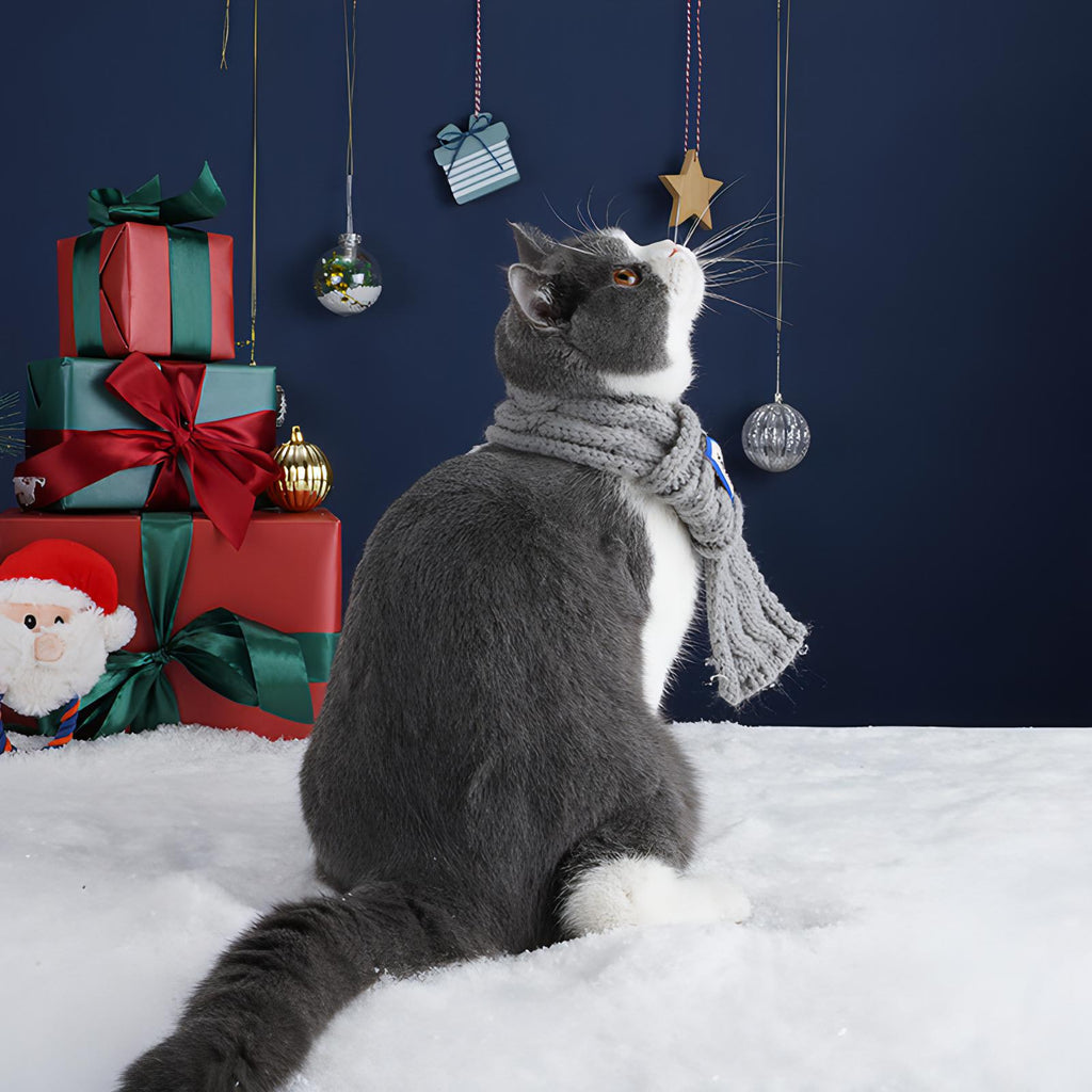 Elegant Cat Scarf - Fatcatjoy