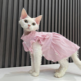 Ultra-thin Summer Tank Dress - Fatcatjoy