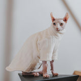 Sphynx Cat Clothes - Fatcatjoy