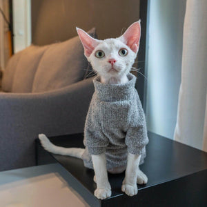 Sable Cat Sweater - Fatcatjoy