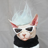 Sphynx Dress Set - Fatcatjoy