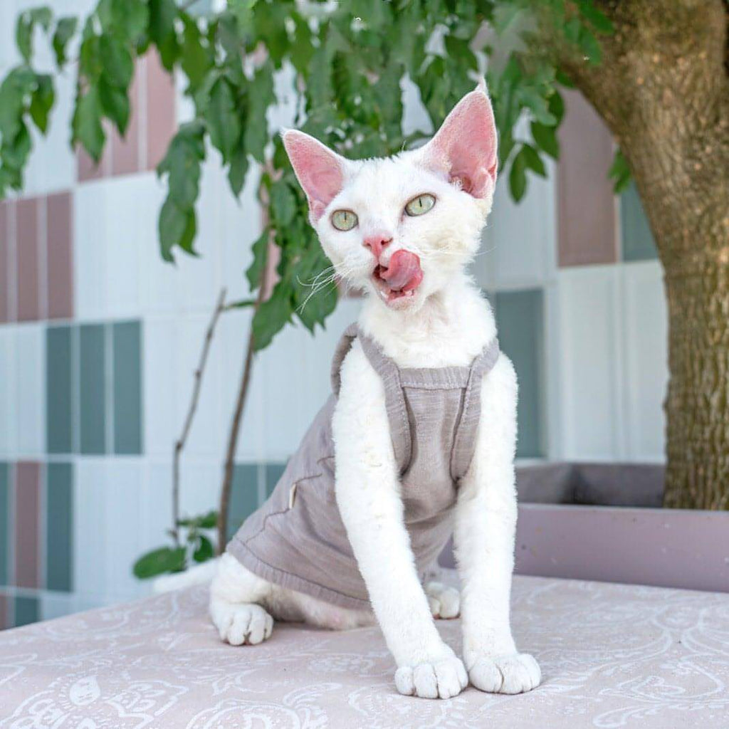 Pure Cotton Cat Vest - Fatcatjoy