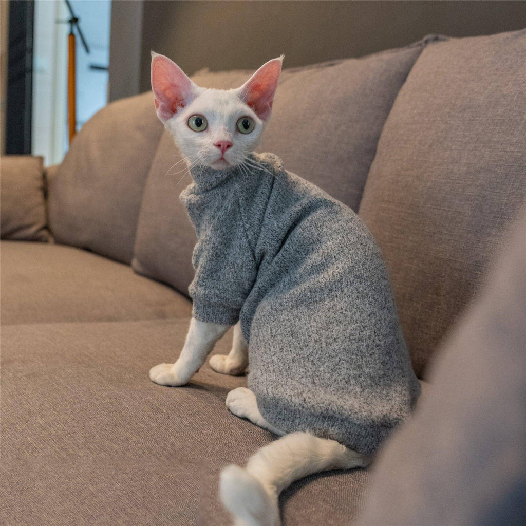 Sable Cat Sweater - Fatcatjoy