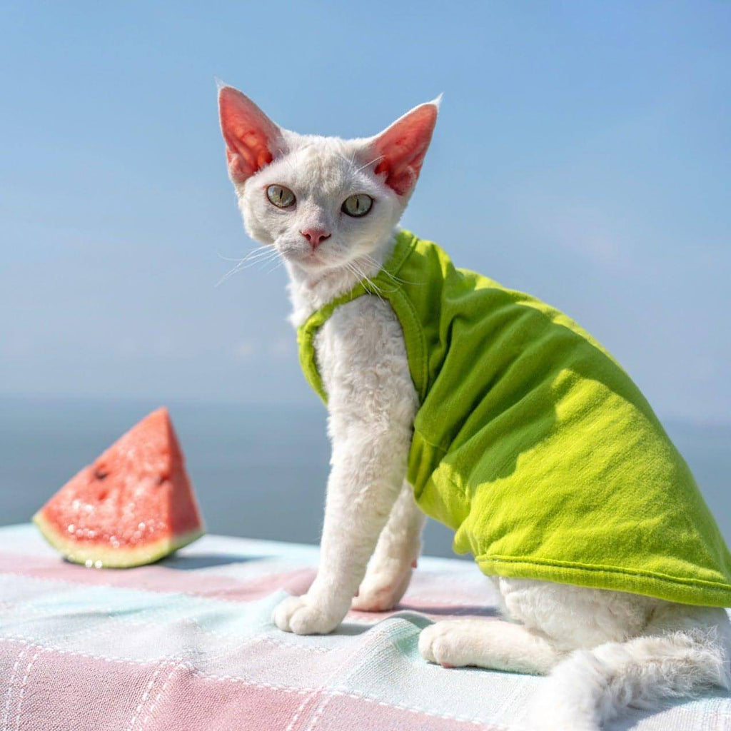 Pure Cotton Cat Vest - Fatcatjoy
