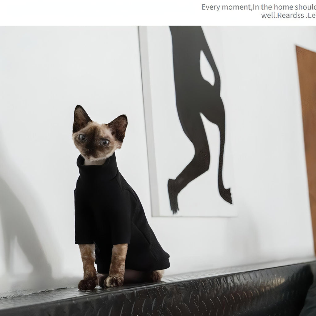 Black Cat Shirt - Fatcatjoy