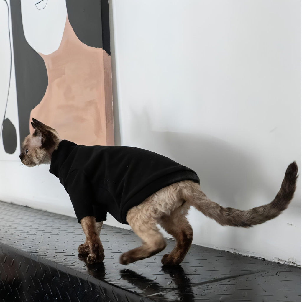 Black Cat Shirt - Fatcatjoy