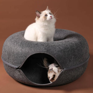 Cat Funny Nest - Fatcatjoy