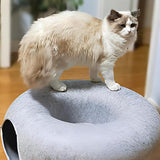 Cat Funny Nest - Fatcatjoy