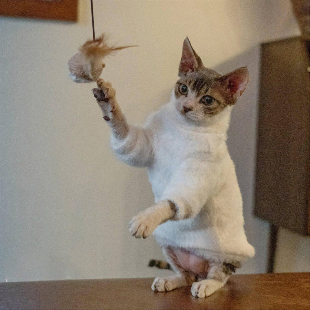 White Cat Sweater - Fatcatjoy