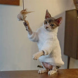 White Cat Sweater - Fatcatjoy