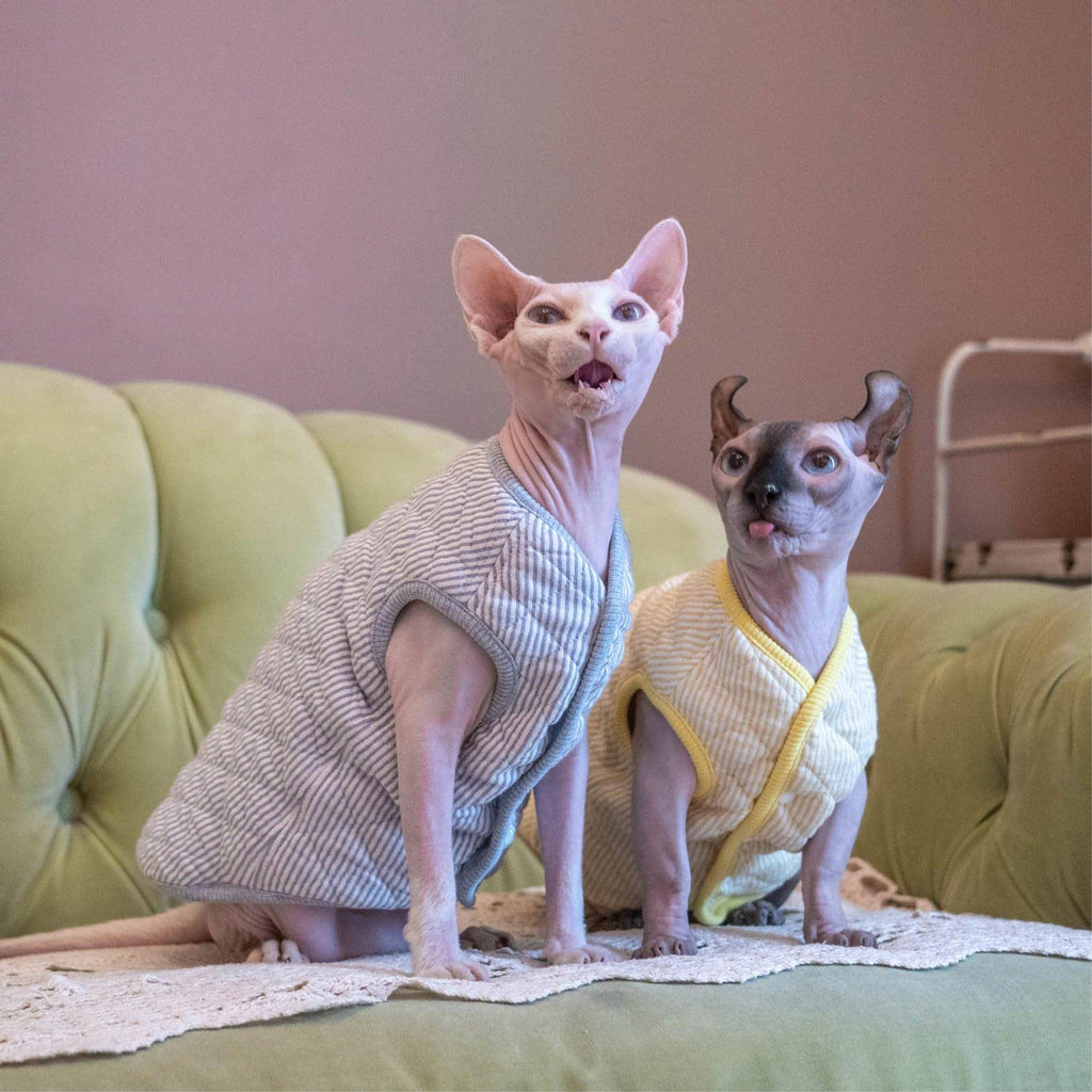 Cotton Cat Vest - Fatcatjoy