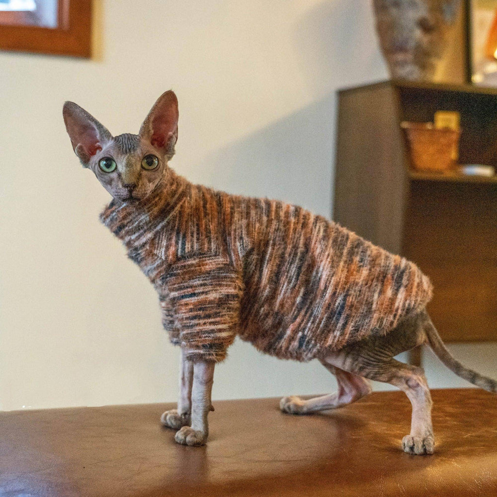 Fleece Cat Sweaters - Fatcatjoy