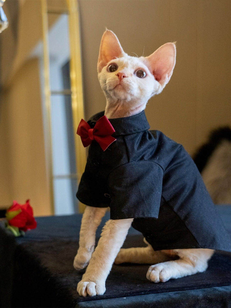 Boy Cat Party Shirt - Fatcatjoy