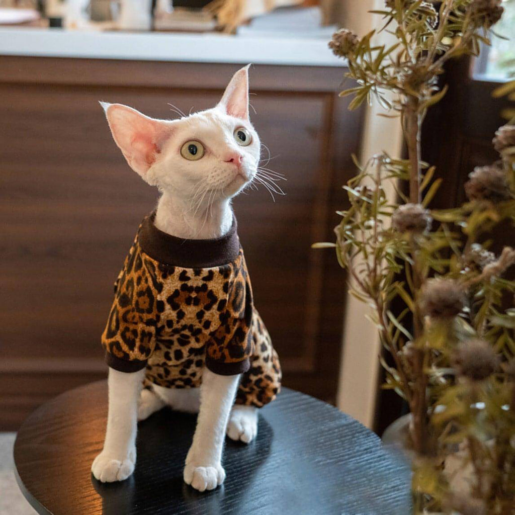 Leopard Cat Clothes - Fatcatjoy