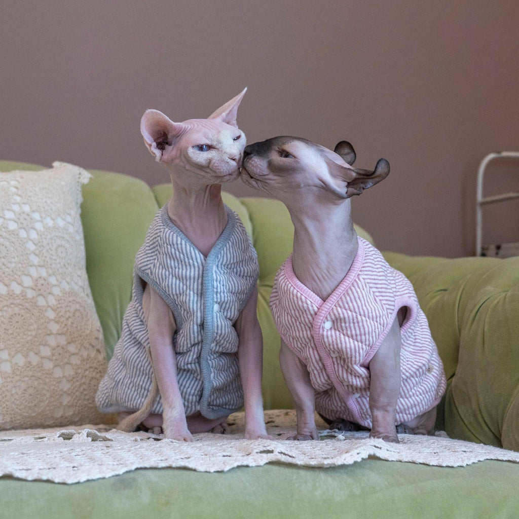 Cotton Cat Vest - Fatcatjoy