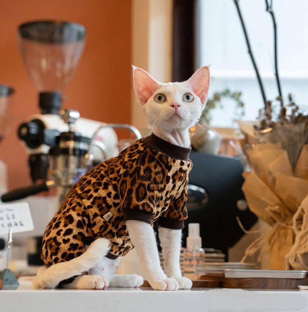 Leopard Cat Clothes - Fatcatjoy