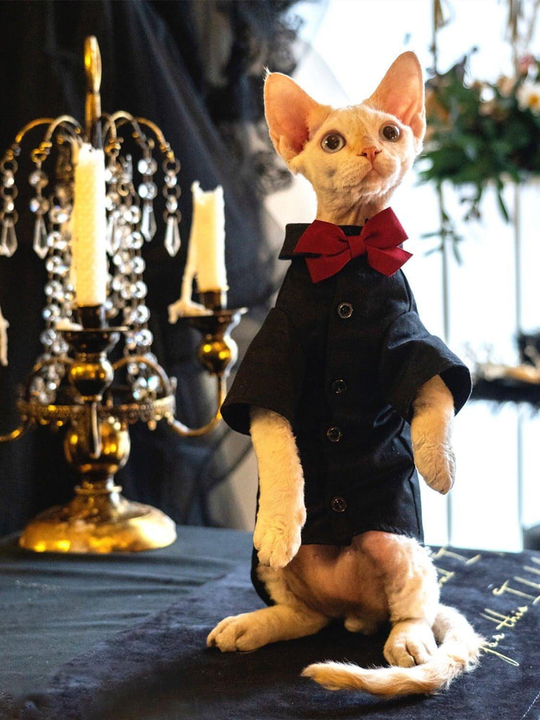 Boy Cat Party Shirt - Fatcatjoy