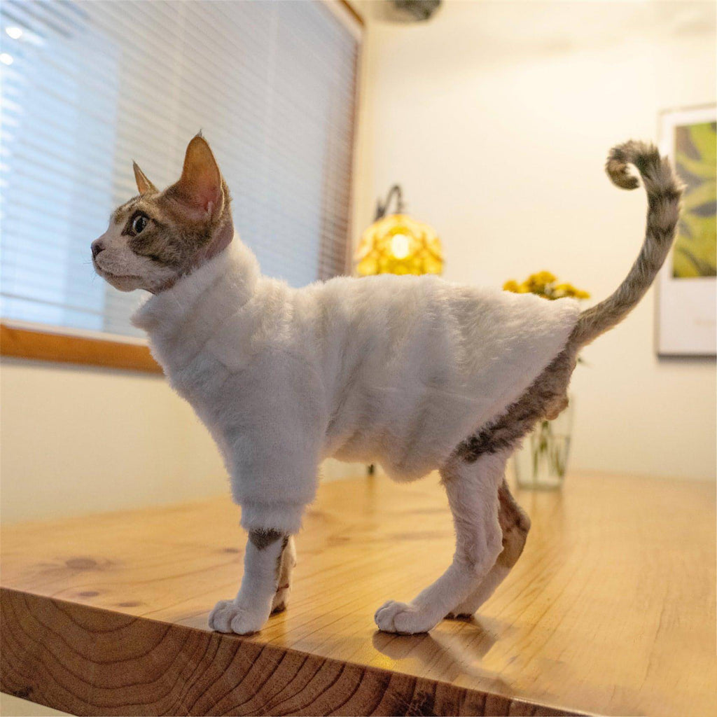 White Cat Sweater - Fatcatjoy