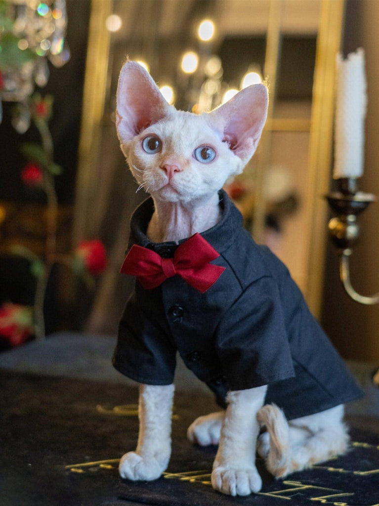 Boy Cat Party Shirt - Fatcatjoy