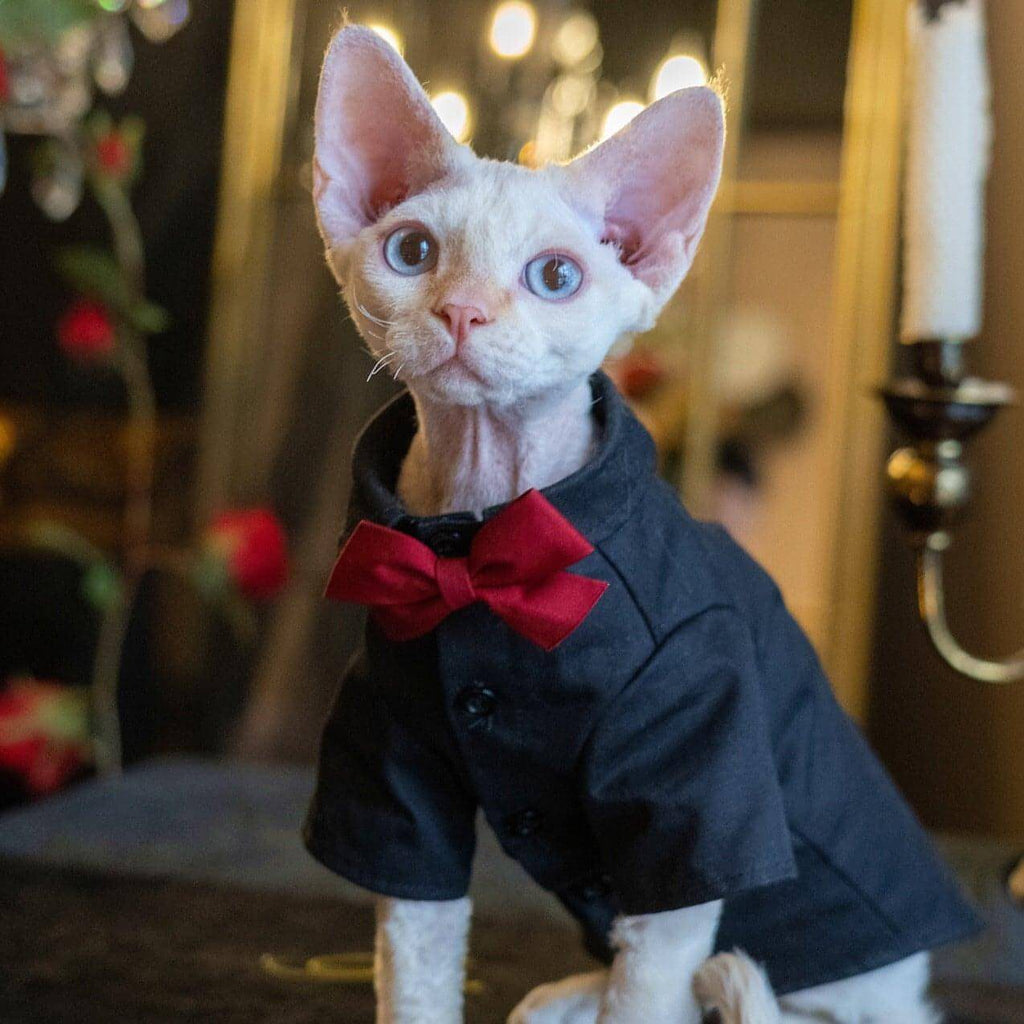 Boy Cat Party Shirt - Fatcatjoy