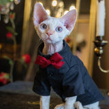 Boy Cat Party Shirt - Fatcatjoy