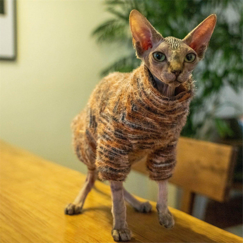 Fleece Cat Sweaters - Fatcatjoy