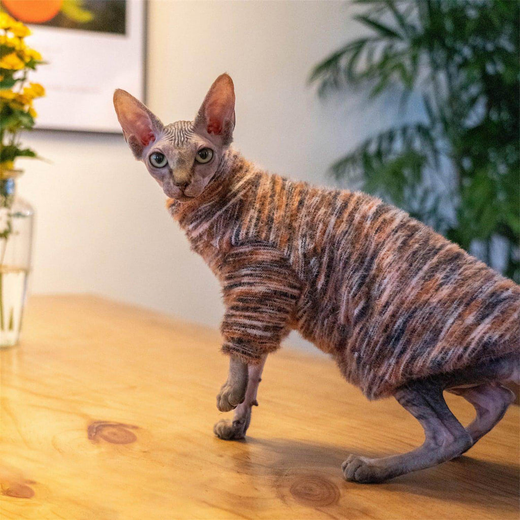 Fleece Cat Sweaters - Fatcatjoy