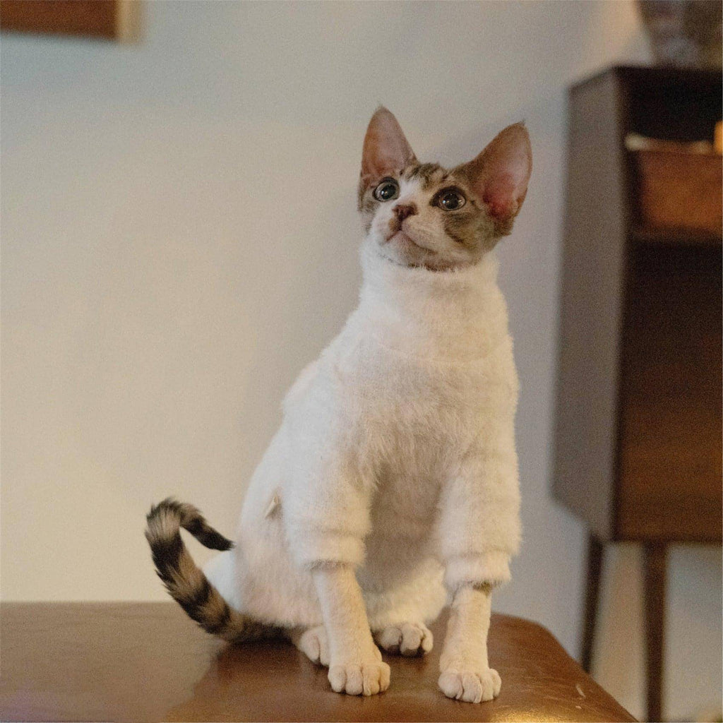 White Cat Sweater - Fatcatjoy