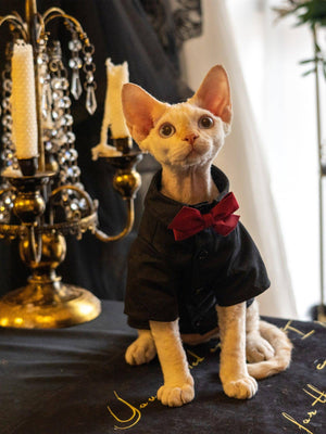 Boy Cat Party Shirt - Fatcatjoy