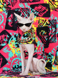 Sphynx Dress Set -Rock Roll - Fatcatjoy
