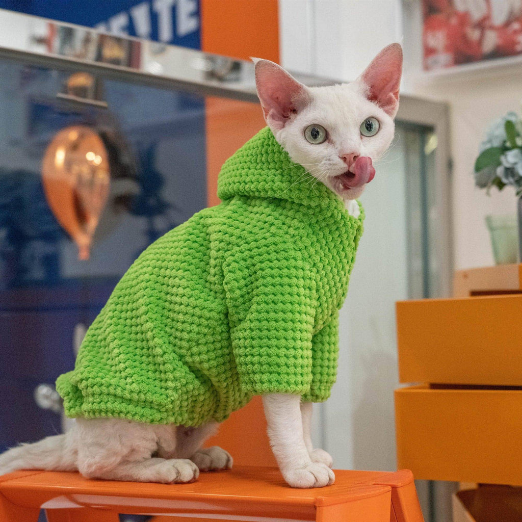 Cat Hoodie Sweater - Fatcatjoy