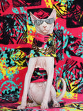 Sphynx Dress Set -Rock Roll - Fatcatjoy