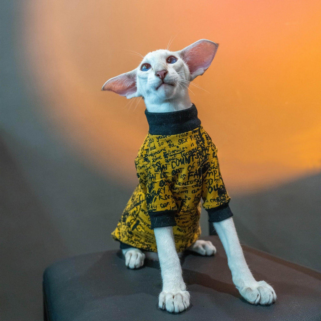 Cat Letter Sweatshirt - Fatcatjoy