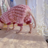 Sphynx Cat Fluffy Cloth