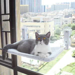 Cat Window Bed (Free Shipping) - Fatcatjoy