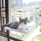 Cat Window Bed (Free Shipping) - Fatcatjoy