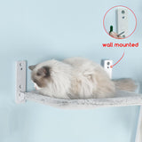 Cat Window Bed (Free Shipping) - Fatcatjoy