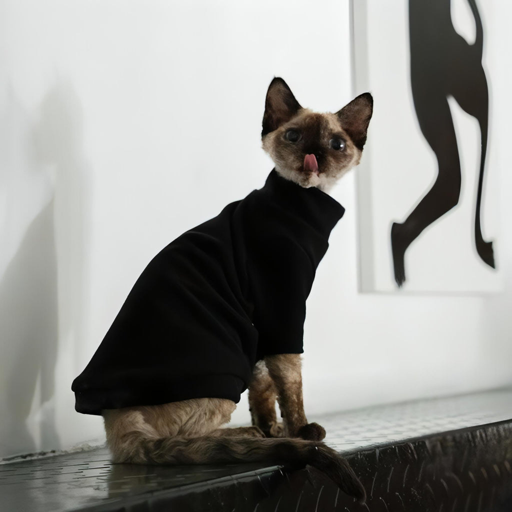 Black Cat Shirt - Fatcatjoy