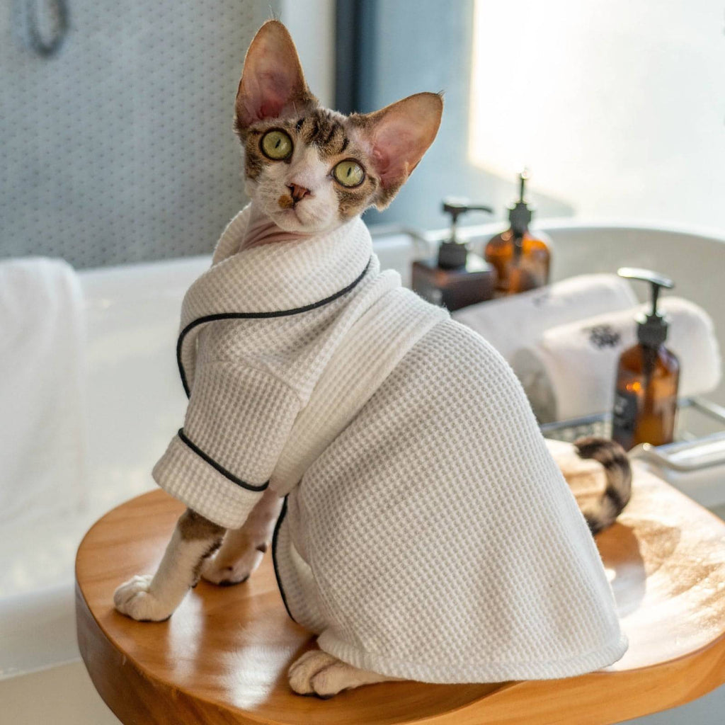 Bathrobe for Cats - Fatcatjoy
