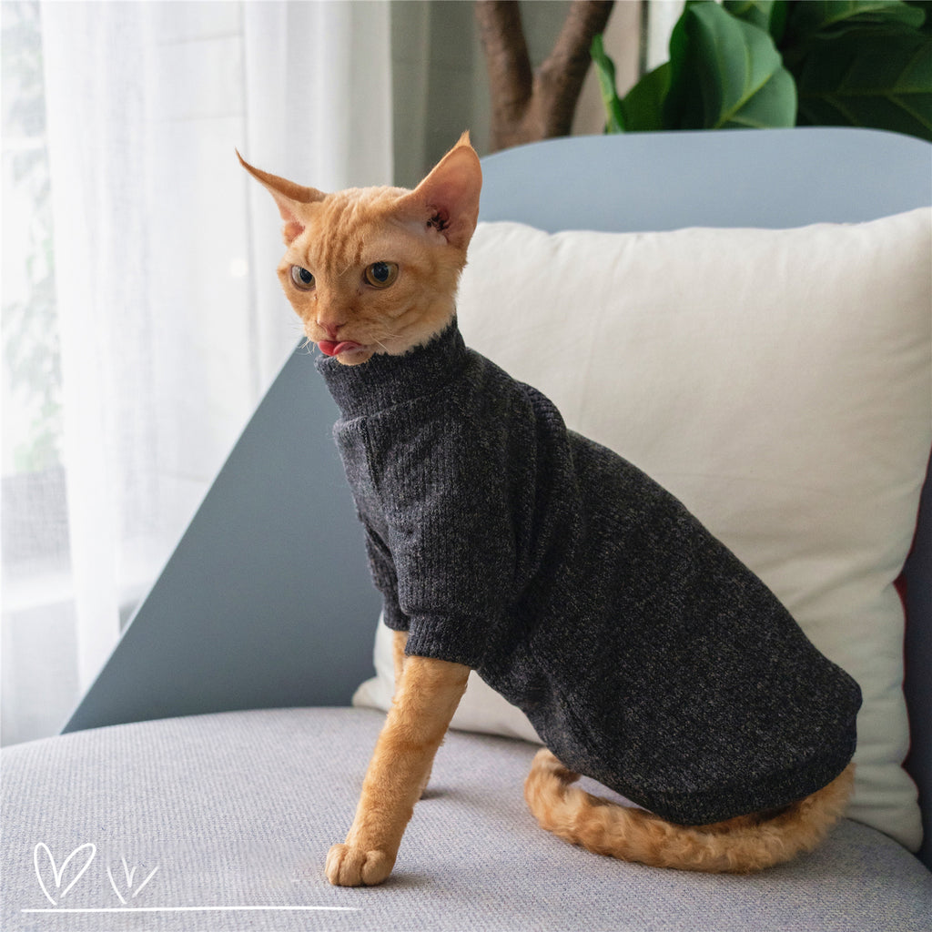 Simple Cat Sweater