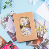 Cat Gift Cards - Fatcatjoy